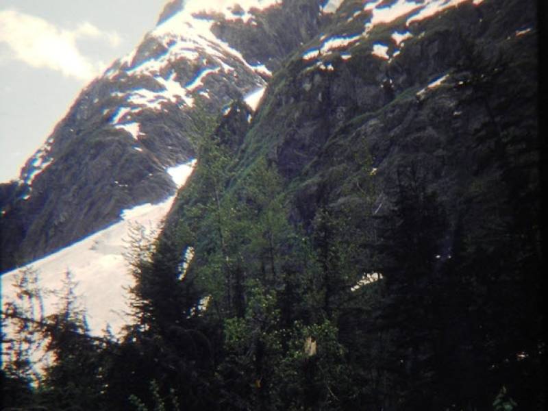 bear_glacier_100_7363-0004.jpg