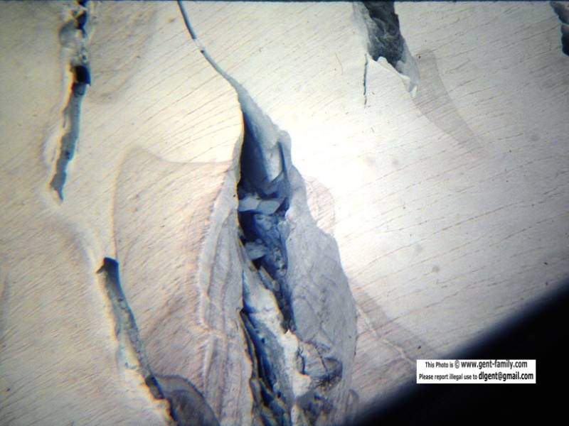 bear_glacier_100_7401-0006.jpg