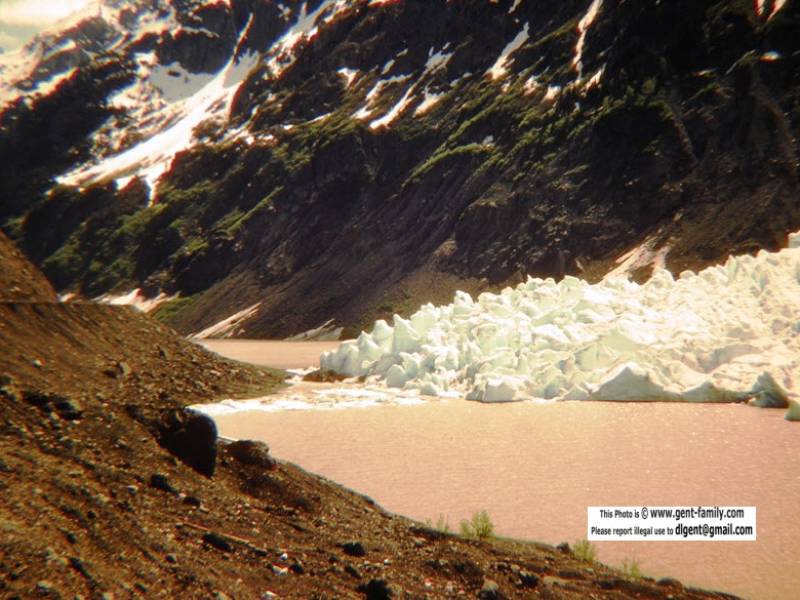 bear_glacier_100_7525-0007.jpg