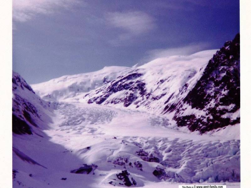 bear_glacier_bwolfe_20150324_0094-0013.jpg