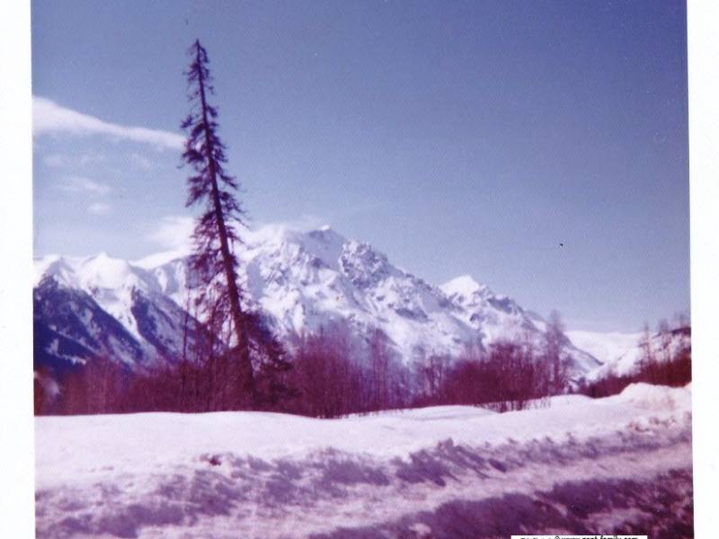 bwolfe_20150324_0054-0022.jpg