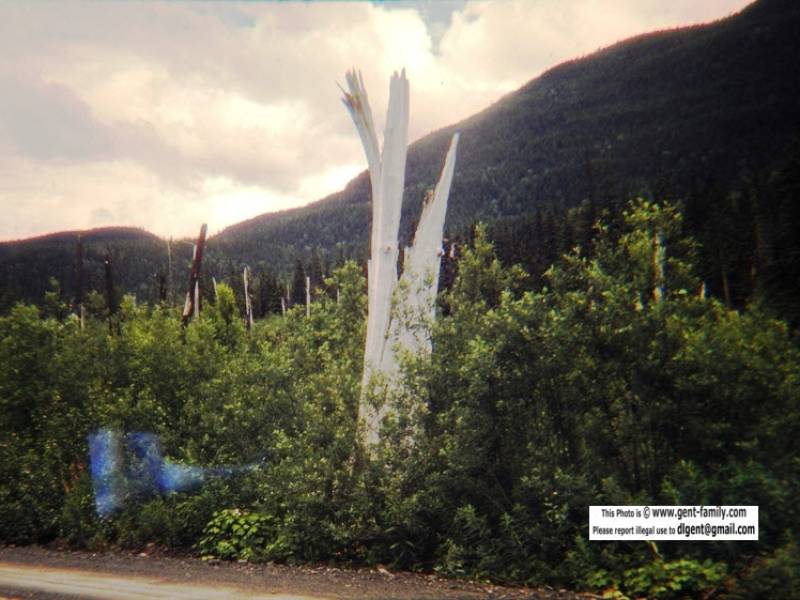 stewart_highway-0044.jpg