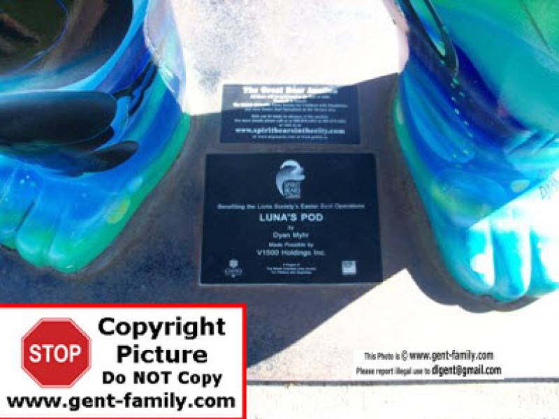 101_1949_lunas_pod_spirit_bear.jpg