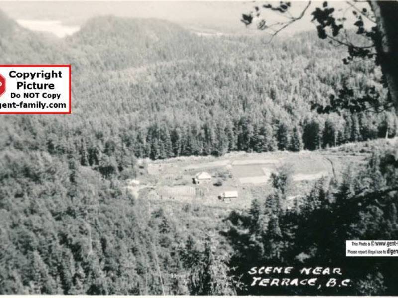 bevan_farm_kitselas.jpg
