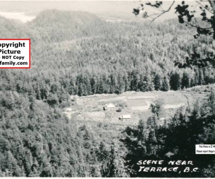 bevan_farm_kitselas.jpg