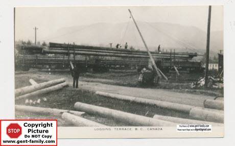 cedar_pole_loading_terrace.jpg
