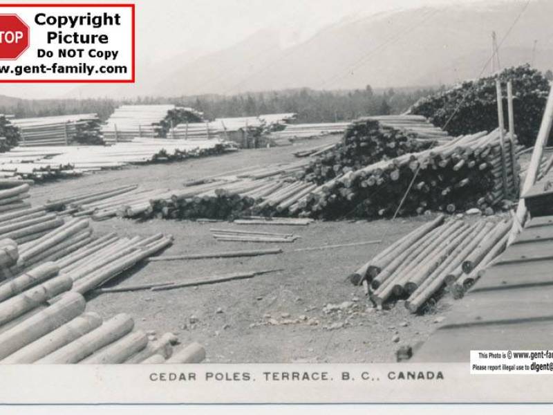 cedar_pole_yard_in_terrace.jpg
