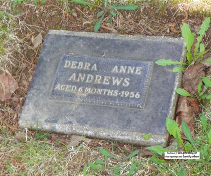 debra_anne_andrews.jpg