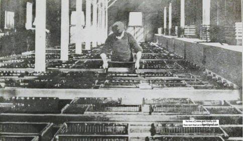 dominionfishhatcherylakelseca1911.jpg