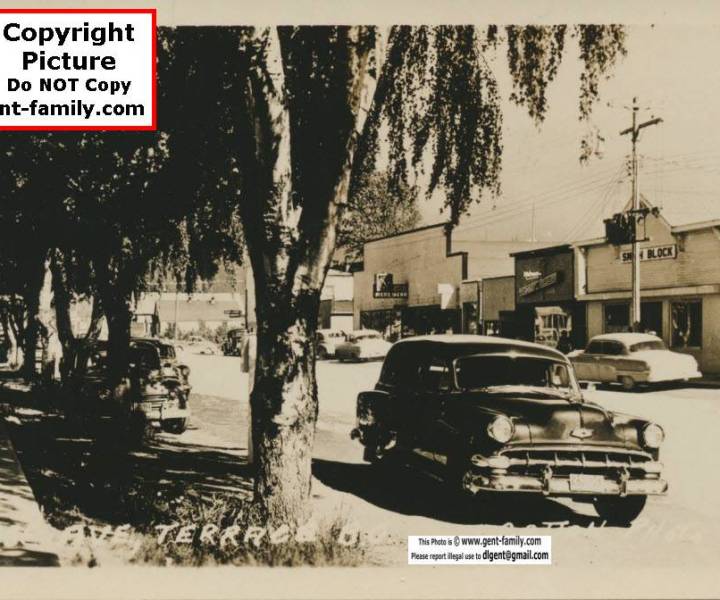 lakelse_ave_trees_etc.jpg