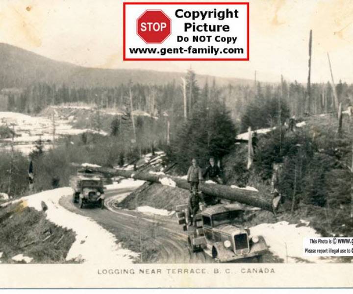 logging_near_terrace.jpg