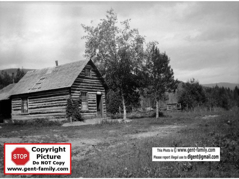 lornecreekpolambphoto.jpg