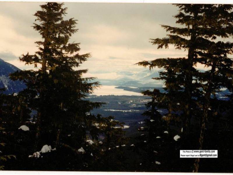 ron_anderson_bag717.jpg