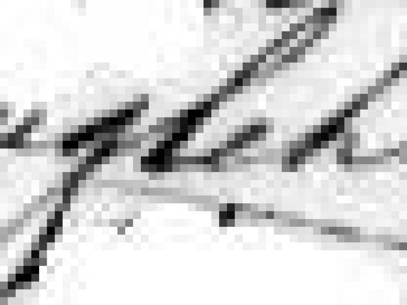 singlehurst_signature.jpg