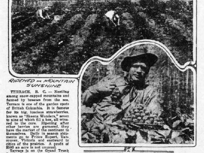 skeenawonderstrawberryadca1921.jpg
