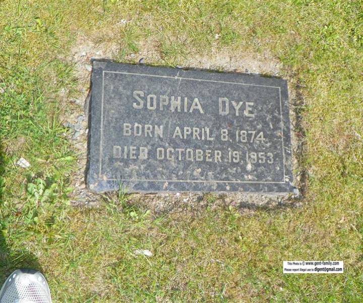 sophia_dye.jpg