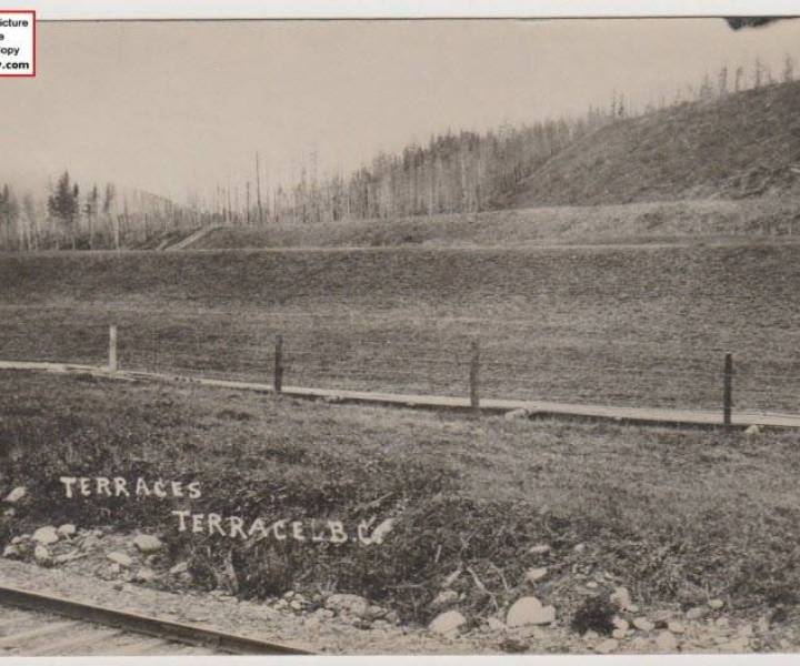 terracebcterraces2.jpg