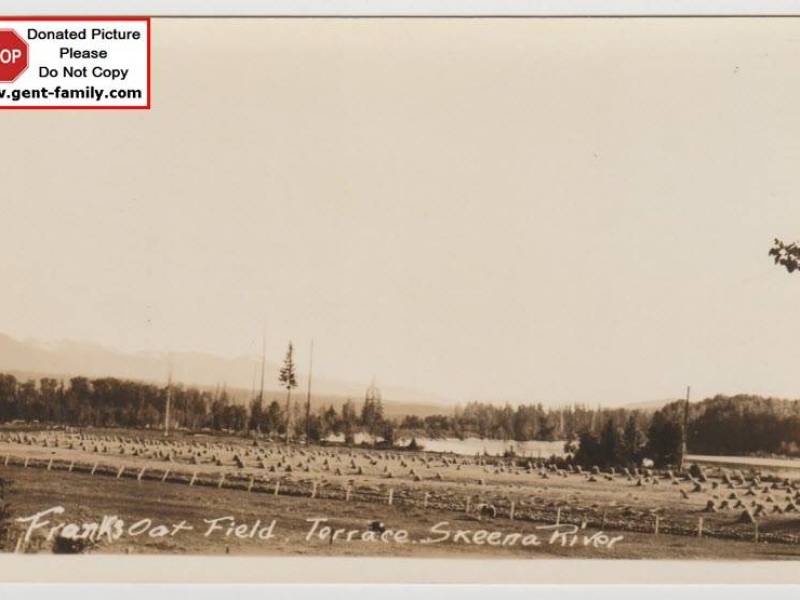 terracefranksoatfield2.jpg