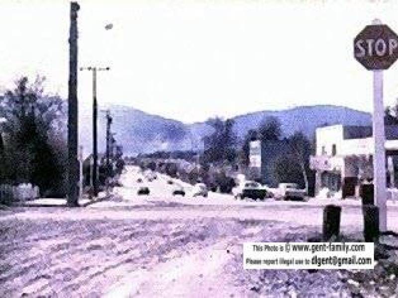 terracemainst1972.jpg