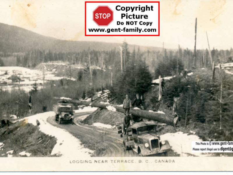 logging_near_terrace.jpg