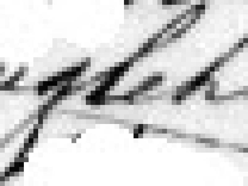singlehurst_signature.jpg