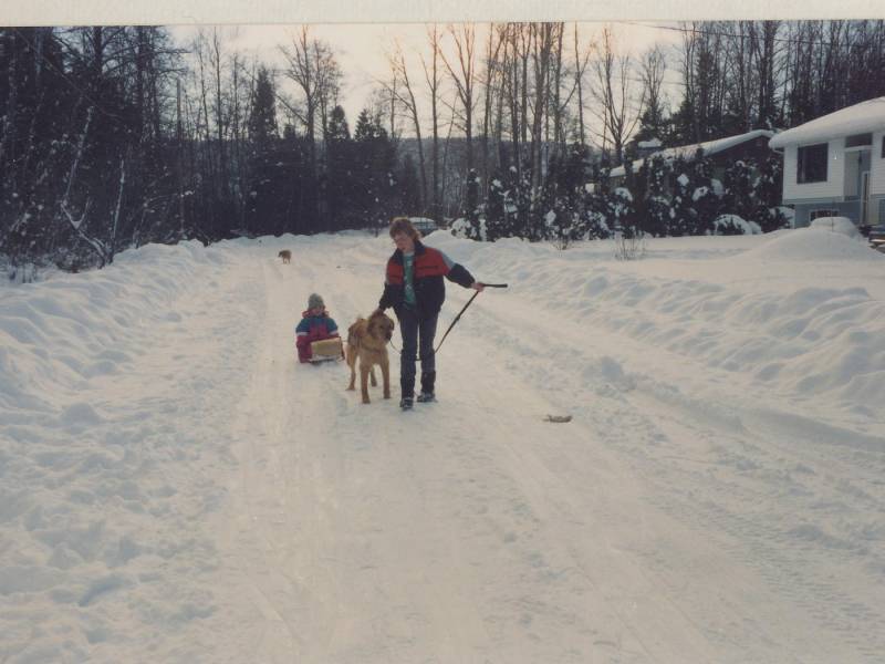 bailey_towing_sled2.jpg
