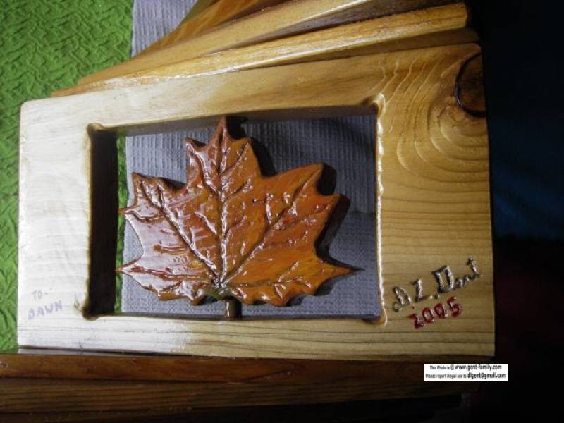 dawn_s_whirly_leaf_insert.jpg