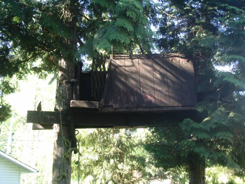 imag0081.jpg