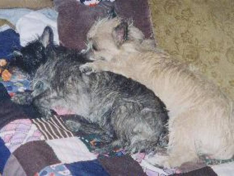 macandtansycuddling.jpg