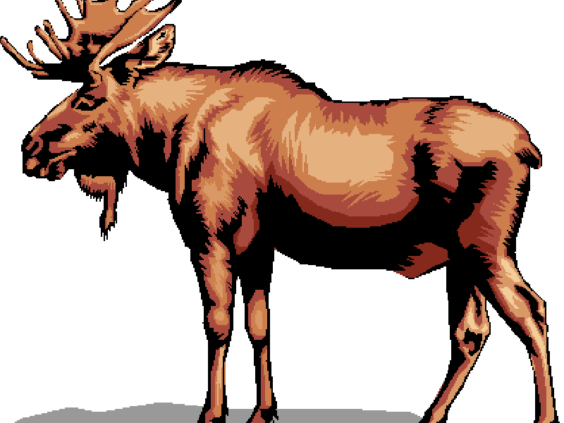 mcan00587_0000_1_.gif