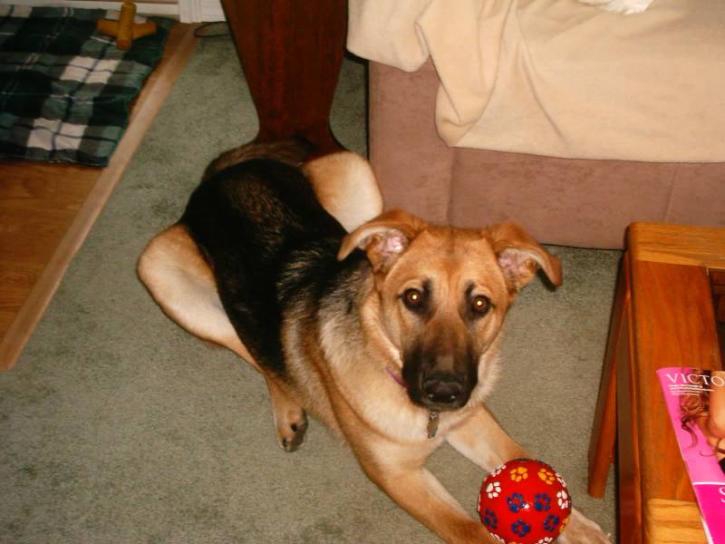 zoe_2006.jpg