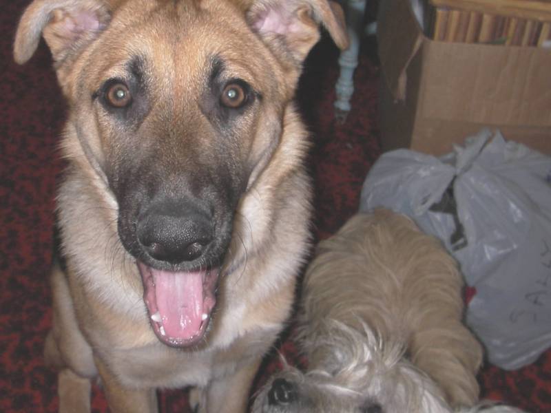 zoe_and_mac_dec_6_2005.jpg