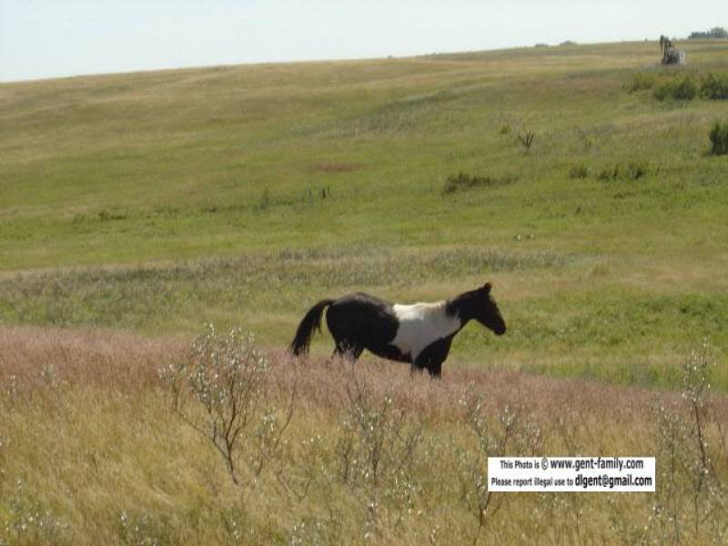 copy_of_dsc01953.jpg