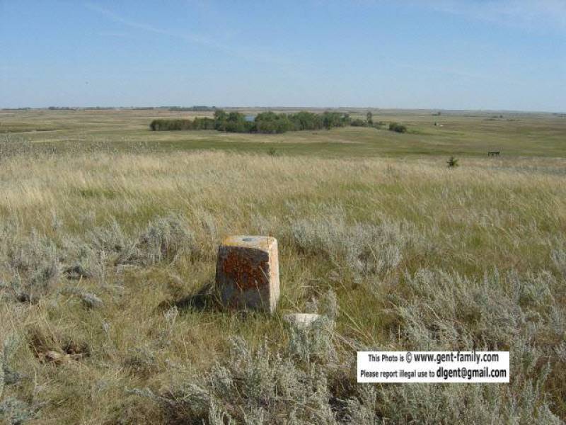 copy_of_dsc01954.jpg