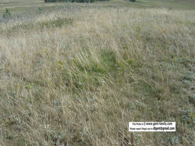copy_of_dsc01961.jpg