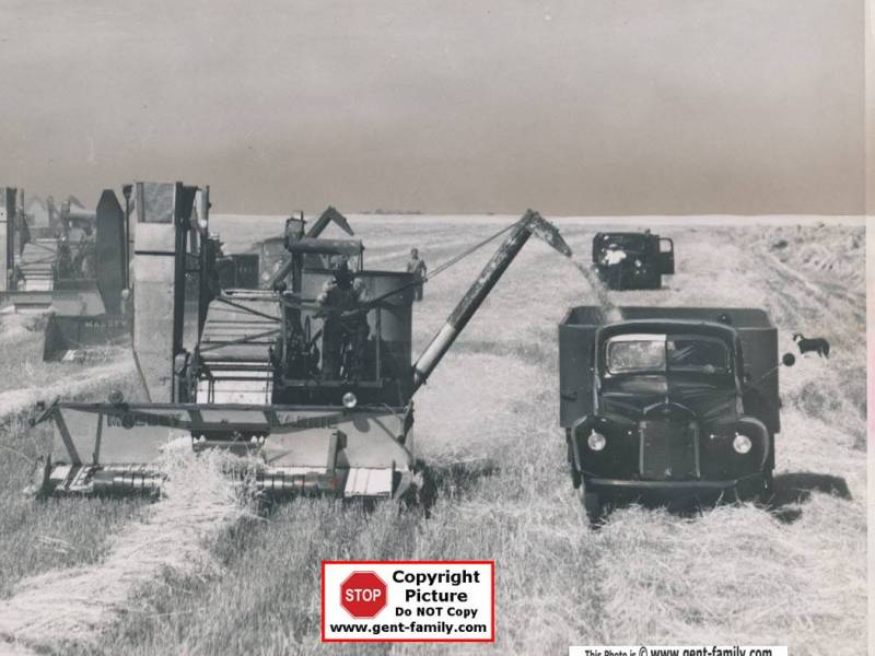 harvest_1946_postcard_front.jpg