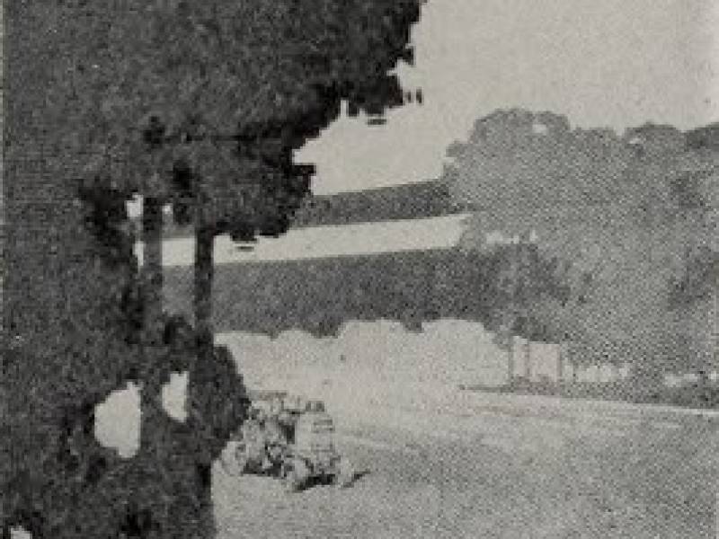 1915_rumely_cat.jpg