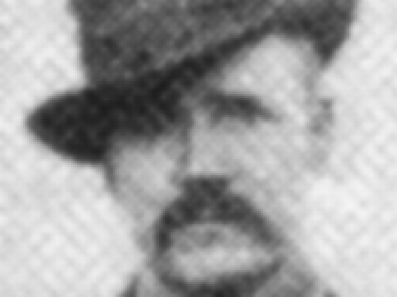 esteva3.gif