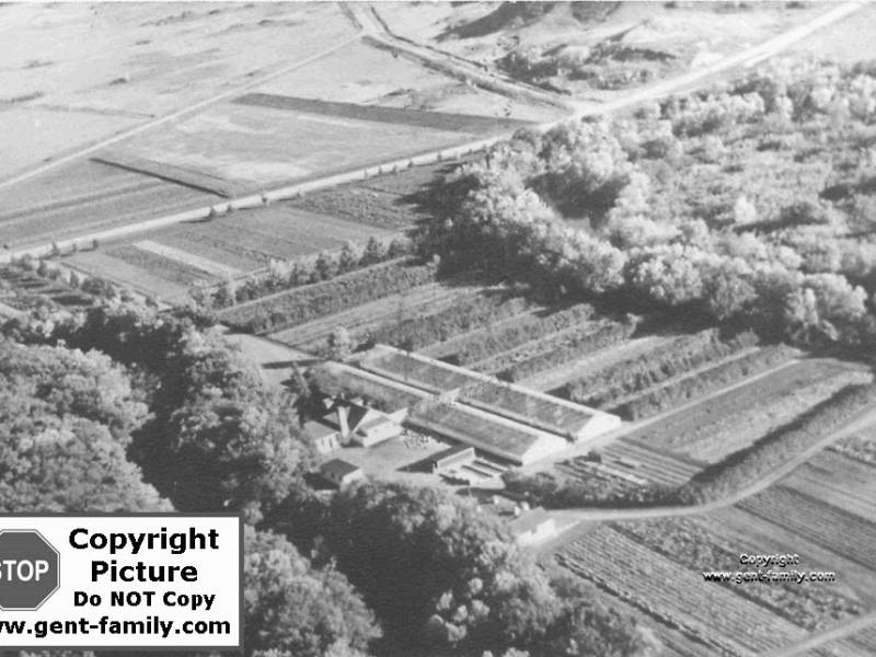 estevan_greenhouses_from_the_air.jpg