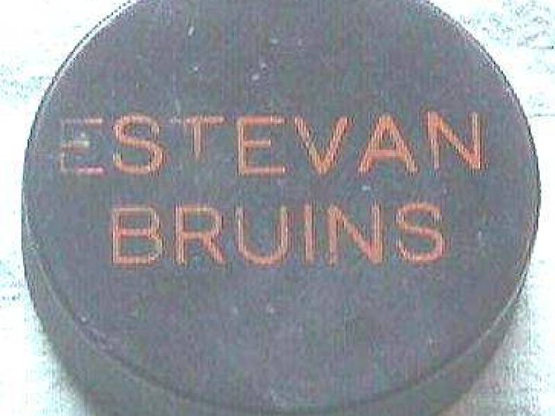 estevanbruinspuck.jpg