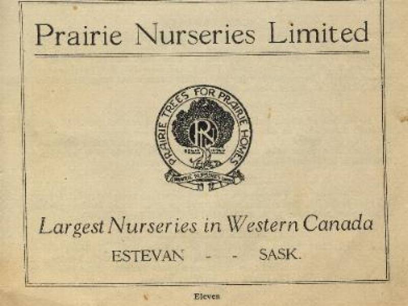 estevanprairienurseriesad.jpg