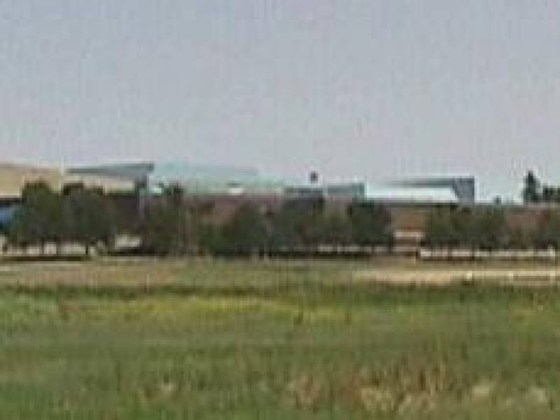 collegeandcompinestevanjuly2000.jpg