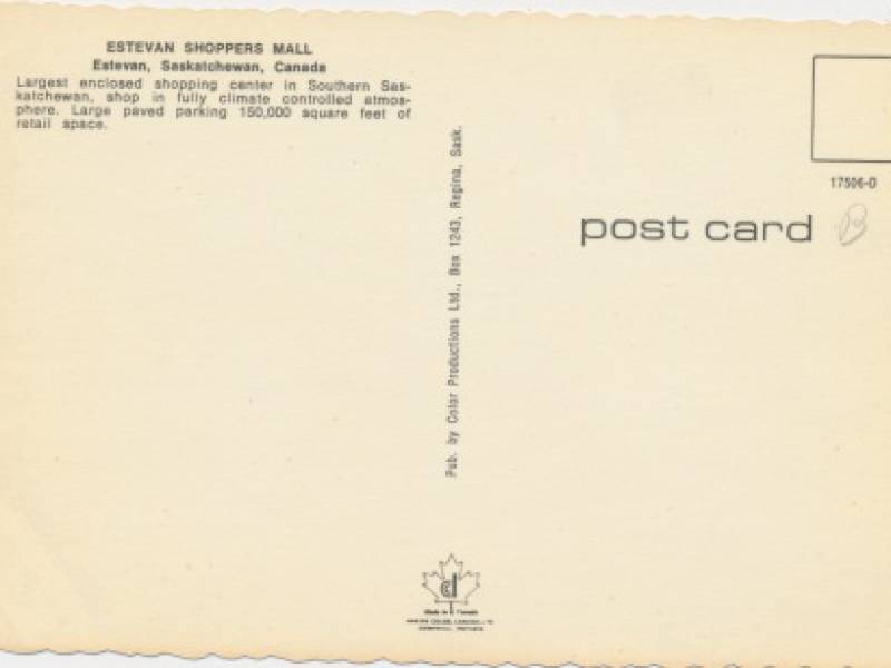 estevanmallca1974back.jpg