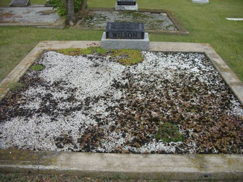 sdc11137.jpg