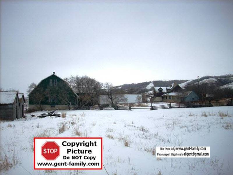 the_farm_in_2007.jpg