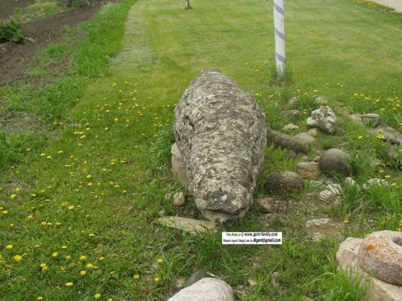 2003rocheperceeicthy2.jpg