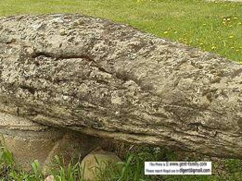 2003rocheperceeicthy5.jpg