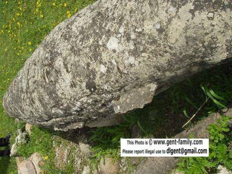 icthysideviewfinlocations.jpg