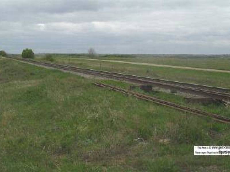 pintolookingwest.jpg