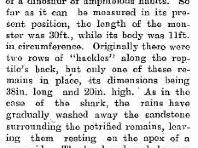 rocheperceedinosaurandshark1912.jpg